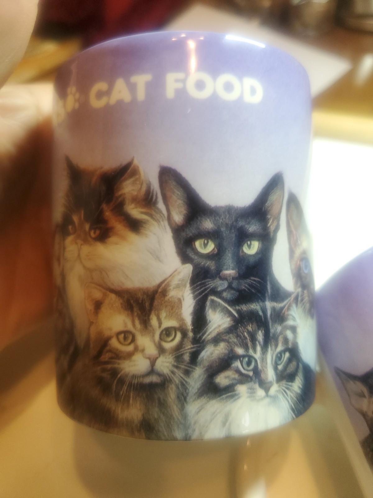 Vintage IAMS CAT FOOD MUGS SET 2