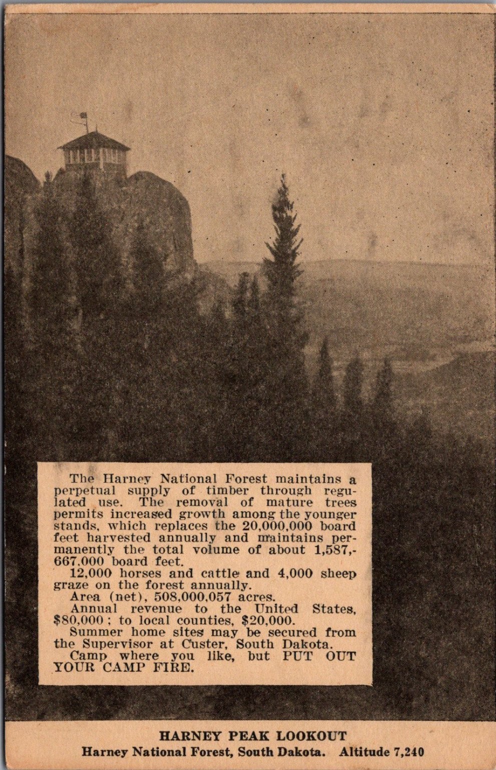 Harney Peak Lookout South Dakota Harney National Forest Vintage Postcard