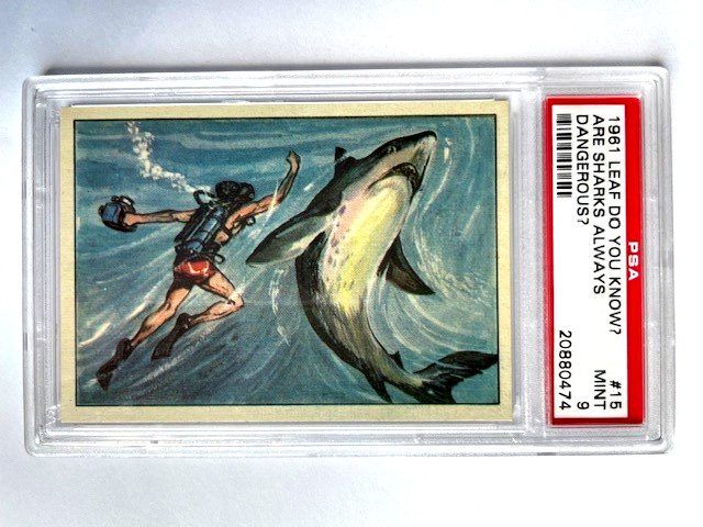 1961 Leaf Do You Know? #15 ARE SHARKS ALWAYS DANGEROUS? PSA 9 POP 4 NONE HIGHER