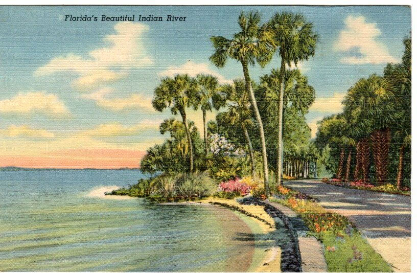 Vintage Postcard FLORIDA'S BEAUTIFUL INDIAN RIVER 1940's Linen Postcard NOS