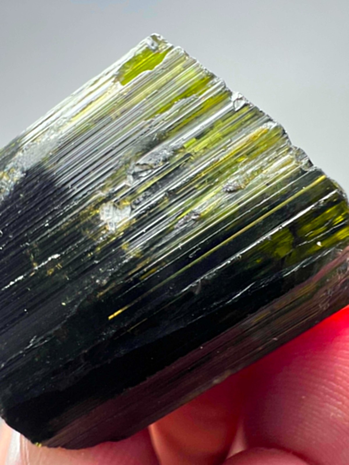 101 Carat Ultra Rare  Green Tourmaline Crystal From Skardu @PAK
