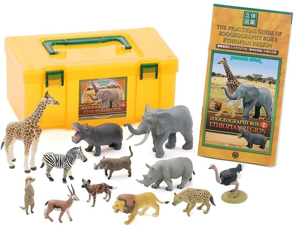 Colorata Real Figure Endangered Animals Zoogeography Box1 Ethiopian Region F/S
