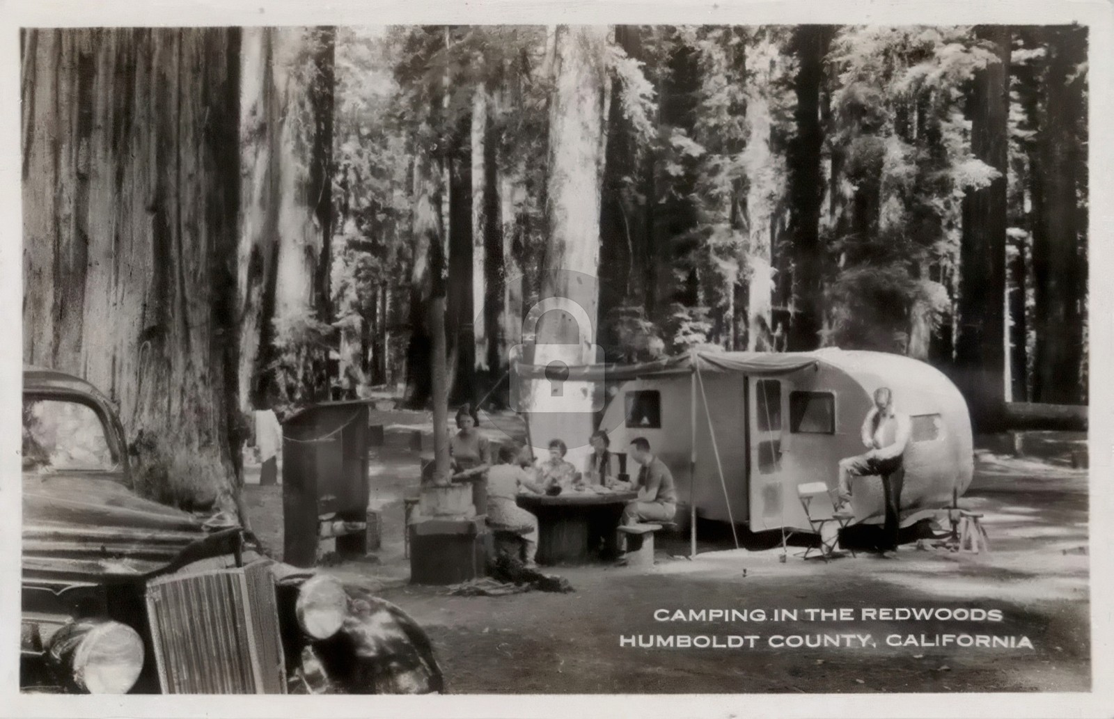 c1940s Airstream-type Trailer Camping Redwoods CA Humboldt County RPPC COPY