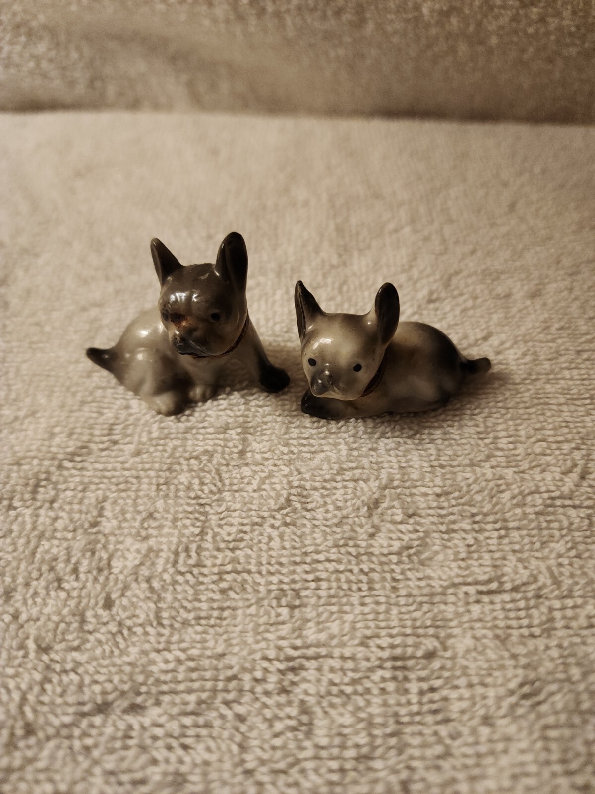  French Bulldog Boston Terrier Miniature Dogs Japan Black and white