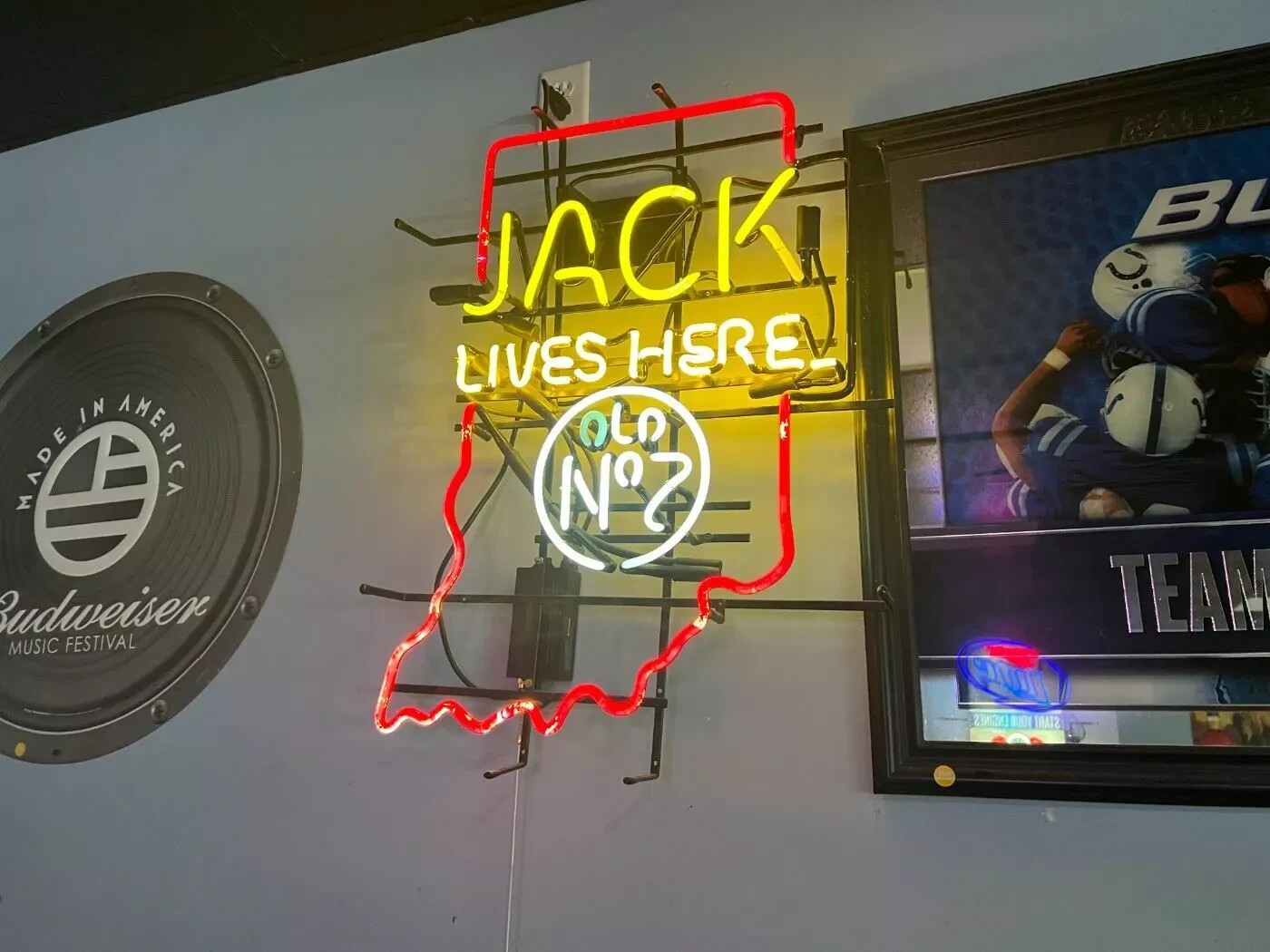 Indiana IN State Map Lives Here Neon Light Sign 24