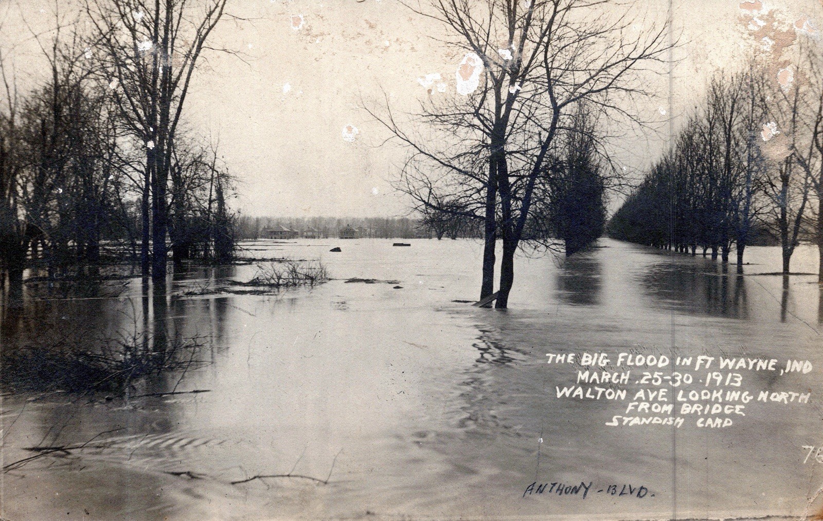 1913 Fort Wayne Indiana Big Flood Walton Ave Anthony Blvd RPPC Standish