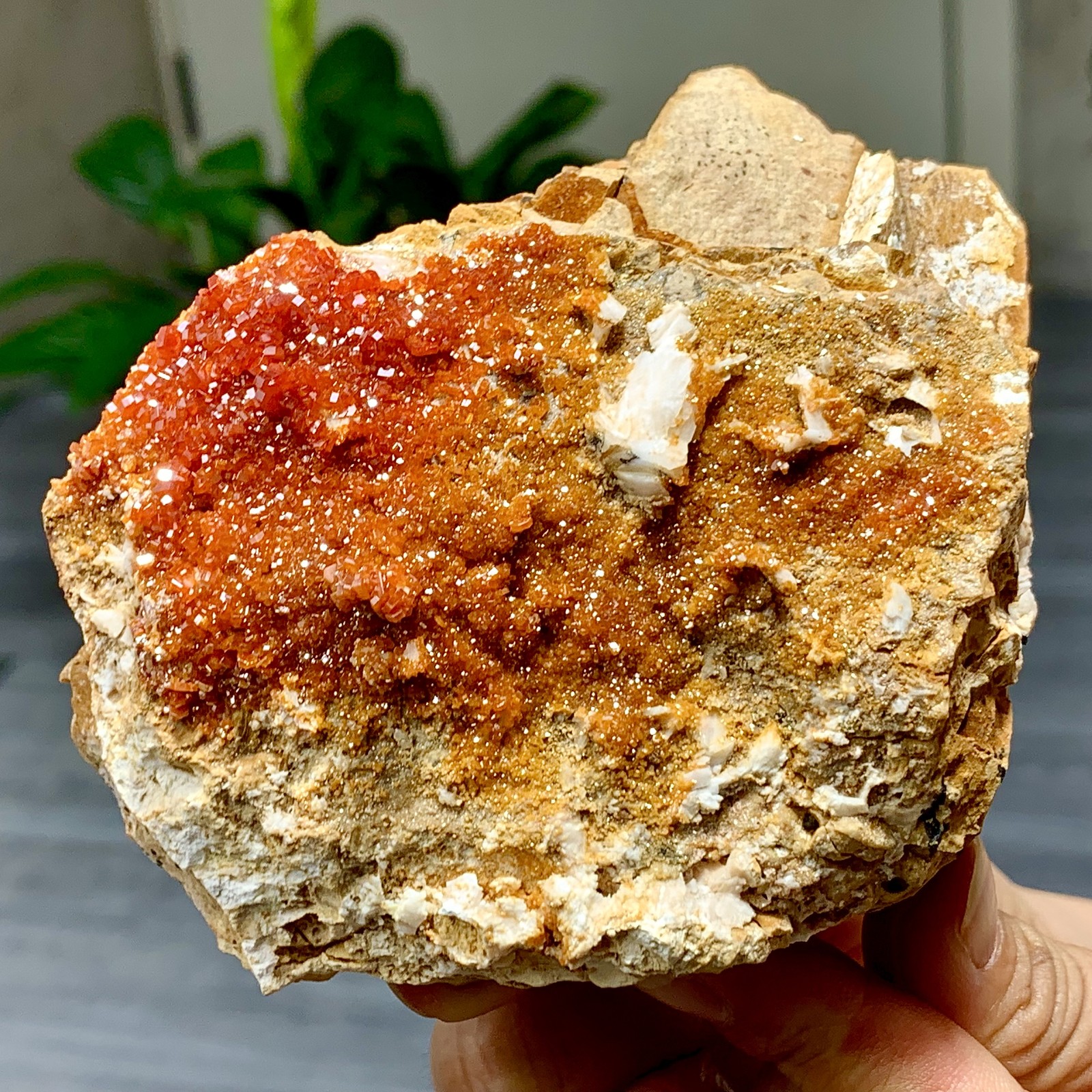 695G Natural Beautiful Vanadinite Atone Cluster Quartz Mineral SamplefromMorocco