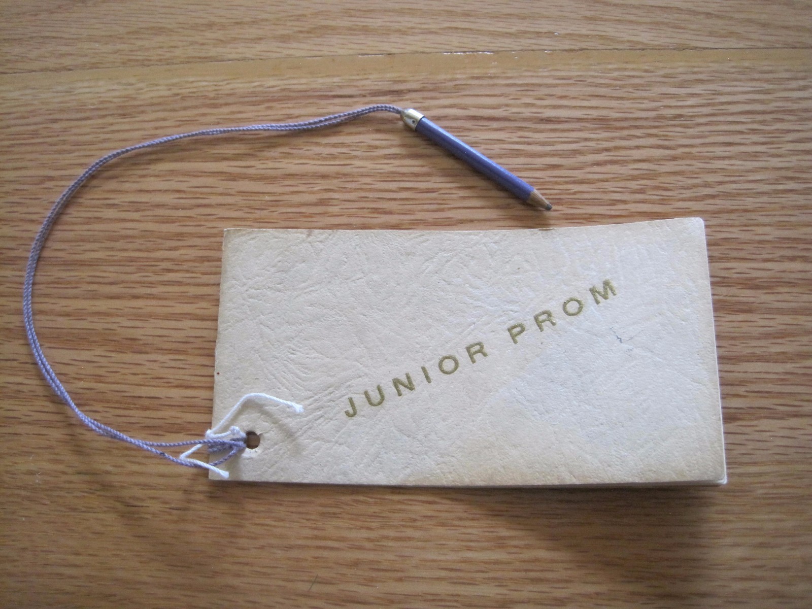 1929 Junior Prom Dance Card--Class of \'29 Vintage Document