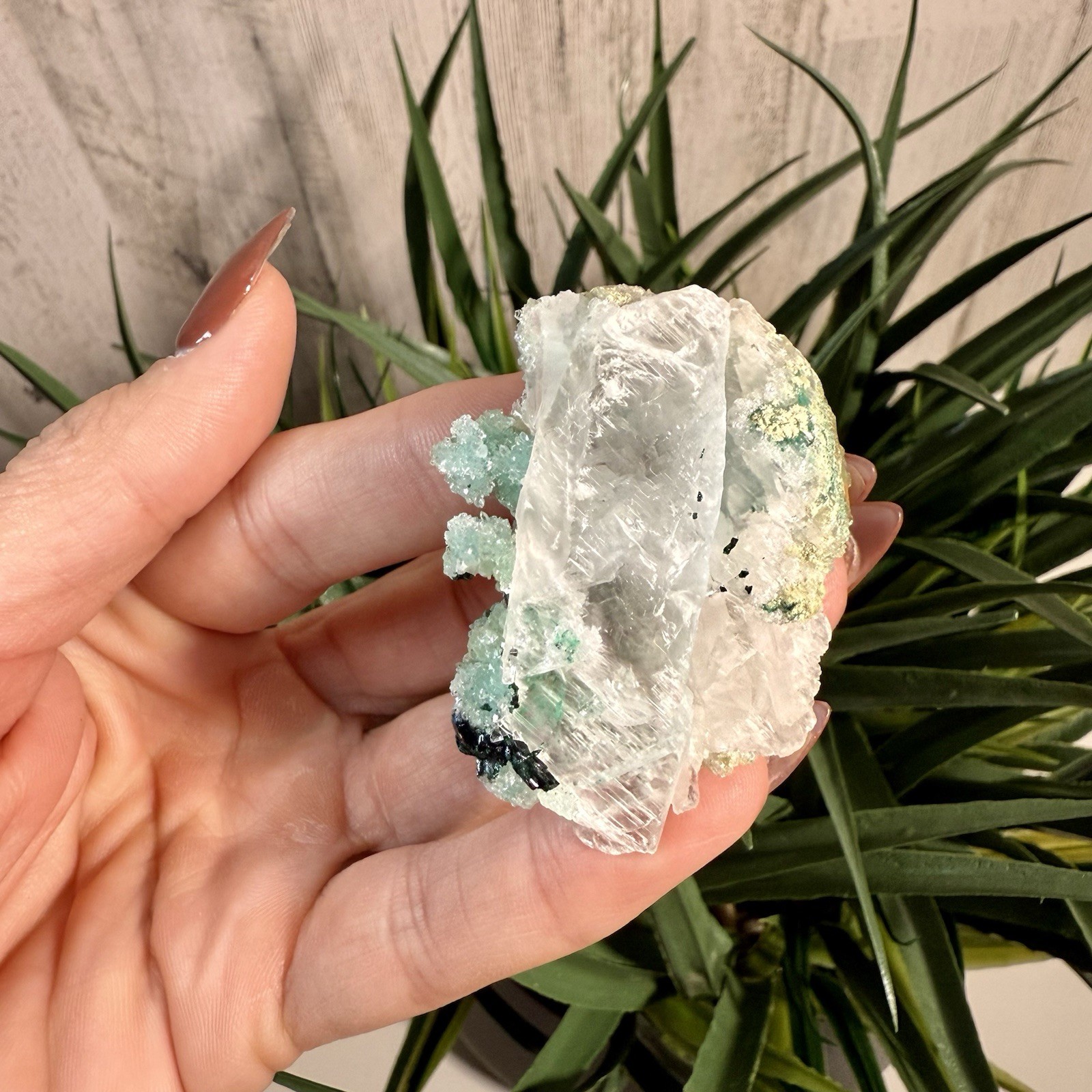 Very Rare Selenite Blade w/ Green Chlorite Inclusions - unique crystal