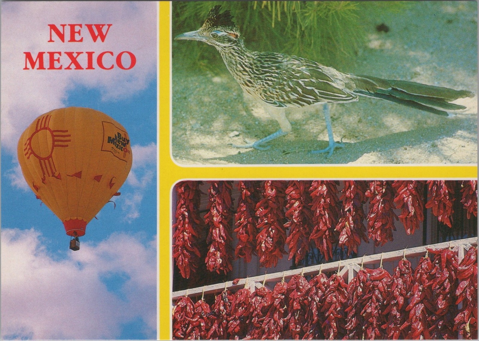 New Mexico NM New Mexico scenes featuring a hot air balloon, bird 4x6 Postcard