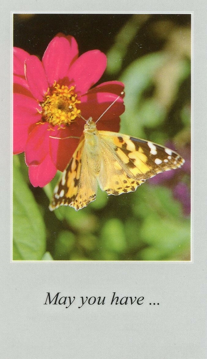 MAY YOU HAVE - Laminated  Holy Cards.  QUANTITY 25 CARDS