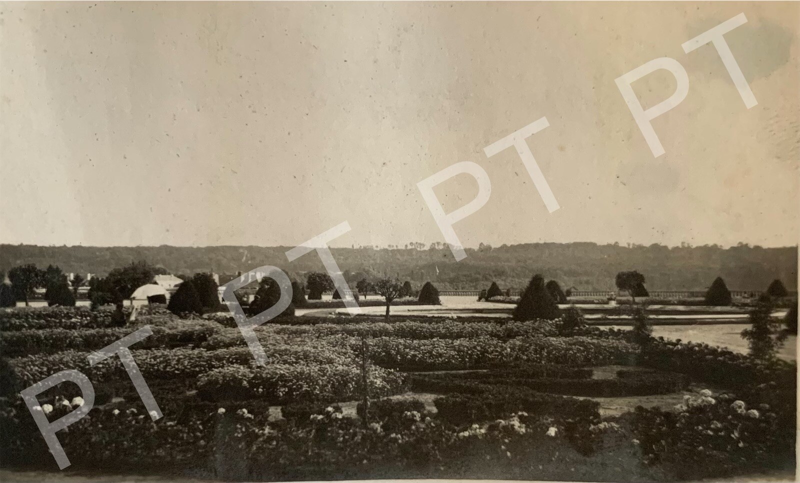1920s PHOTO - France Versailles - Flower Gardens Original Snapshot