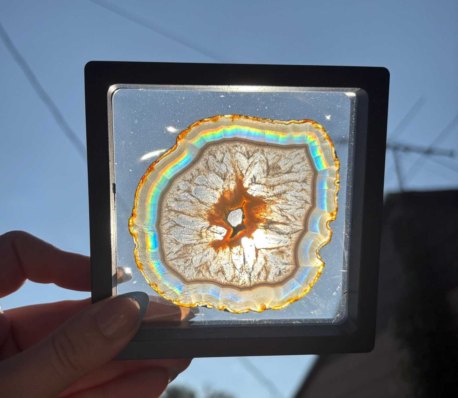 Indonesian Iris Agate Slice | Natural Rainbow Diffraction Specimen