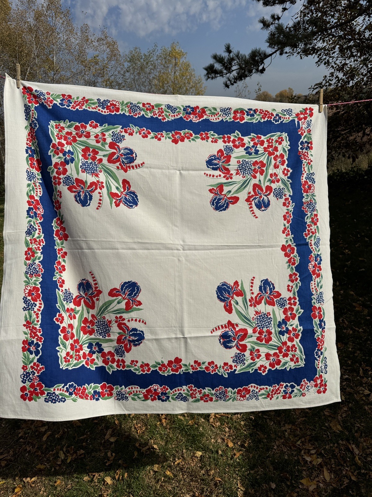 Vintage 1940S 50S Tablecloth White Blue Red Green Iris Floral approx. 46.5x48.5￼