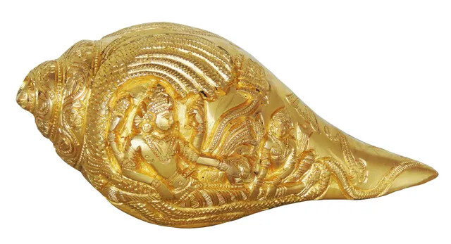 Pooja Shankha Shankh Conch Shell Hindu Divine Worship Home Temple 8 inch