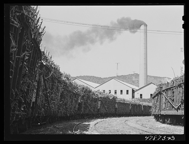 Photo:Ensenada Puerto Rico 1942 South Puerto Rico Sugar Co Sugar Cane Cars