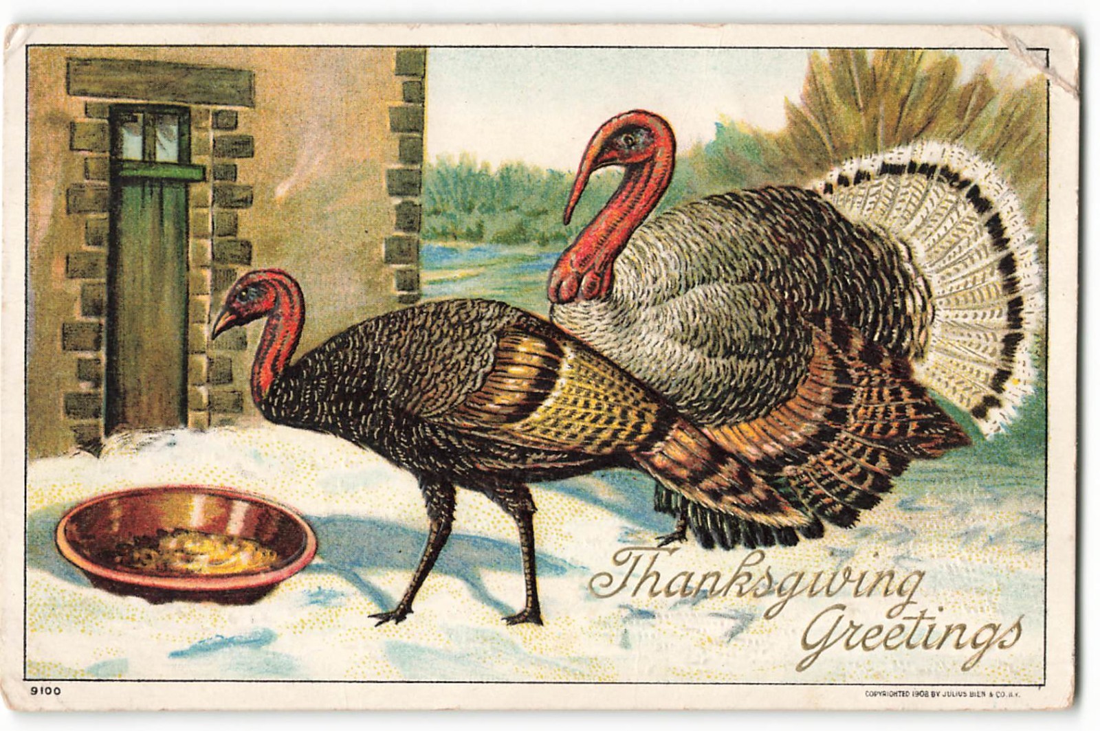 Thanksgiving Greetings two turkeys in a snowy barnyard scene VTG Postcard CG2.