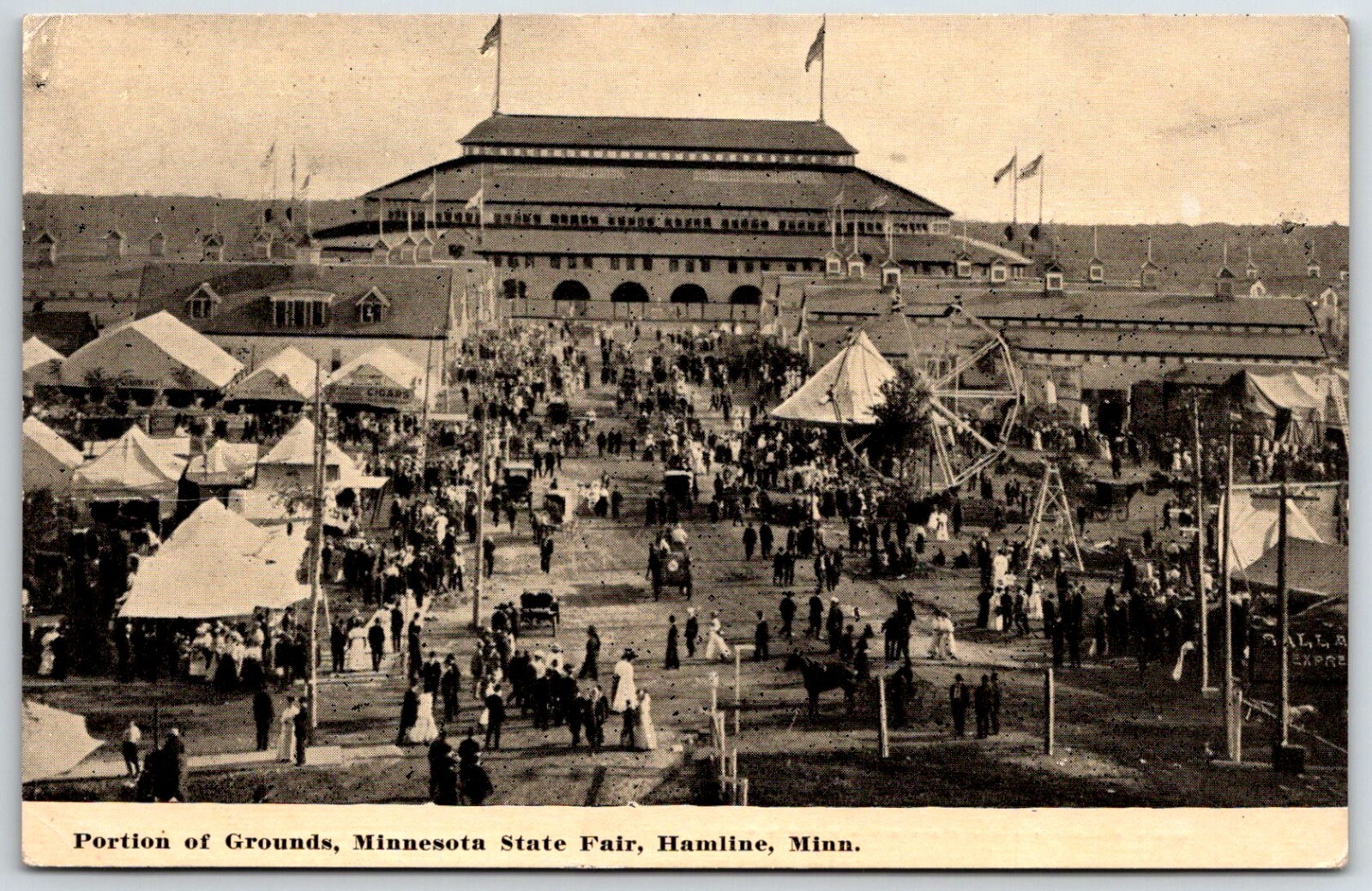 Mammoth Live Stock Pavilion, Minnesota State Fair, Hamline, MN Postcard