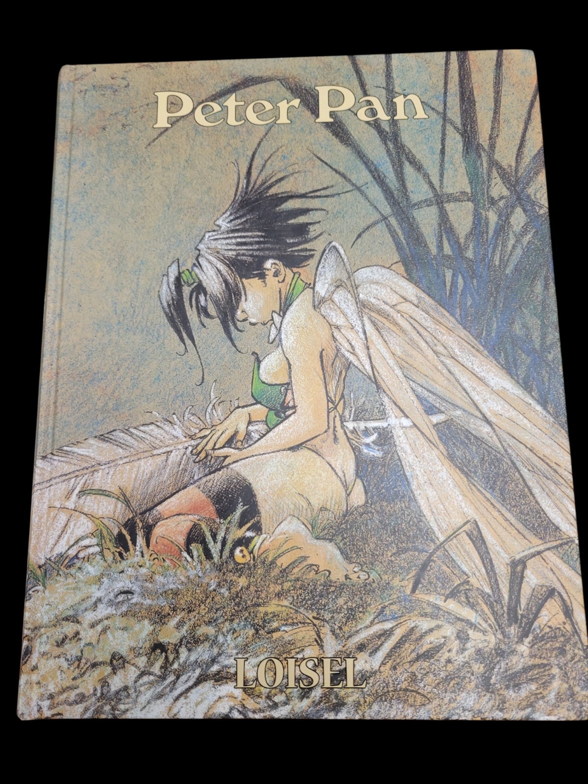 Peter Pan (SoaringUSA Penguin Press October 2014) Hard Cover,  