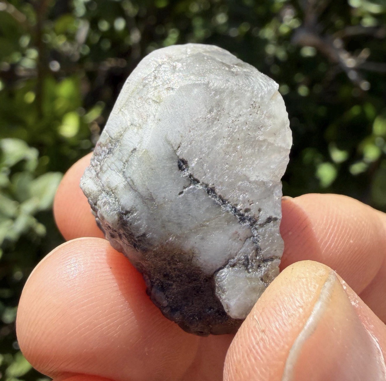 Brazilian Phenakite/Phenacite Crystal, Reiki, 15.60 Grams, 78 Carats