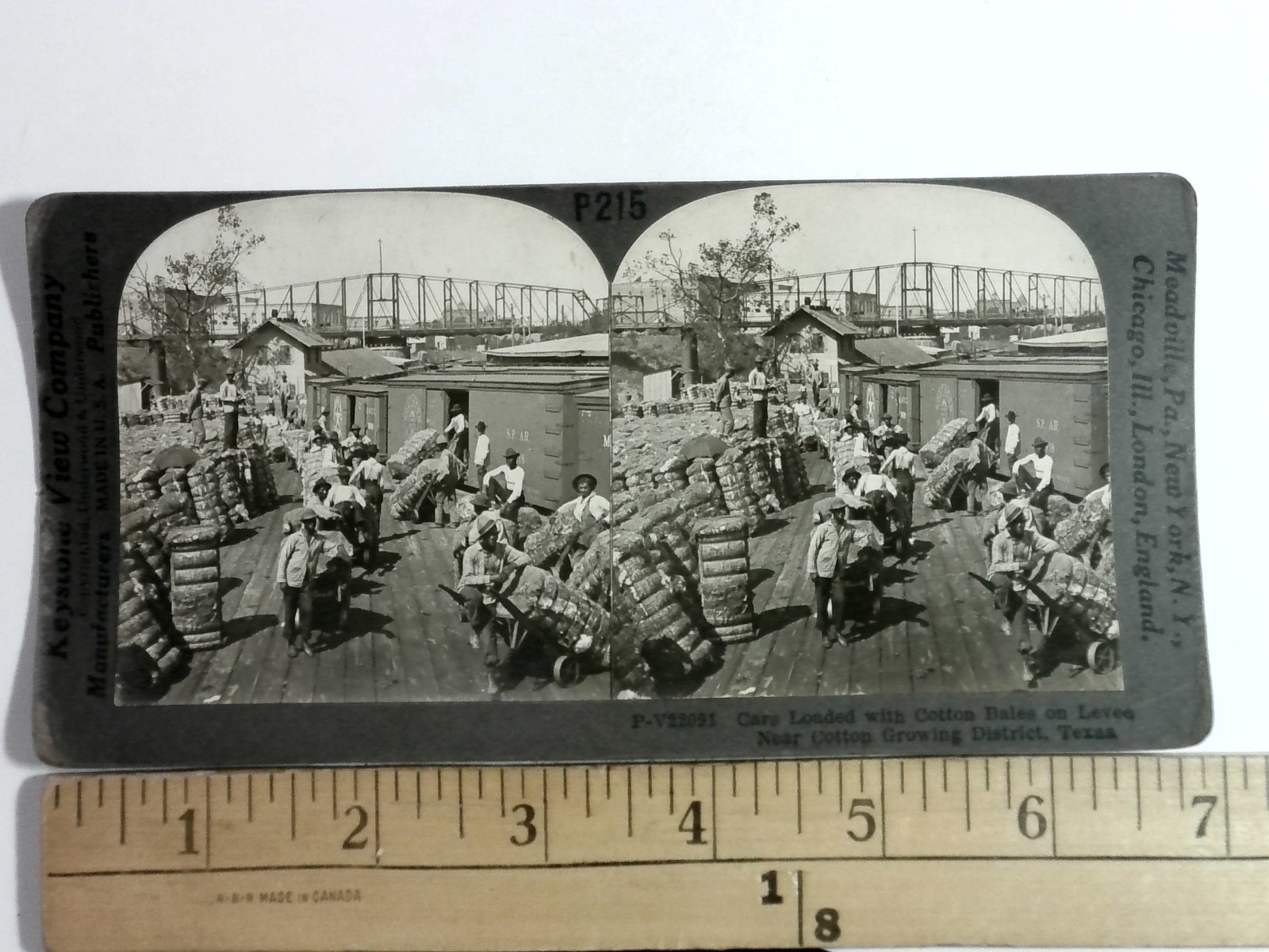 Freight Cars Loaded Cotton Bales Texas Stereoview Keystone View Co. 1910s