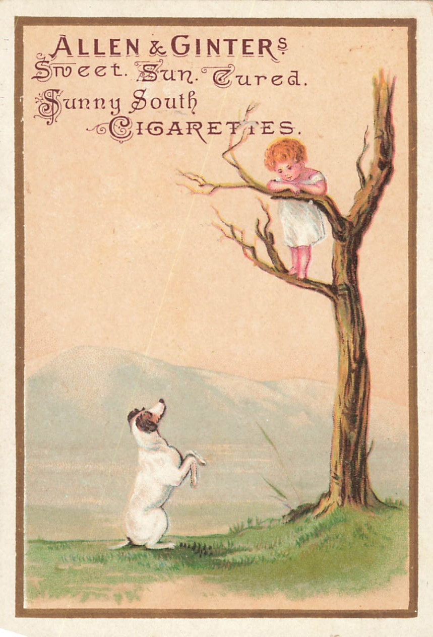 Antique Allen & Ginters Sweet Sun Cured Sunny South Cigarettes Trade Card