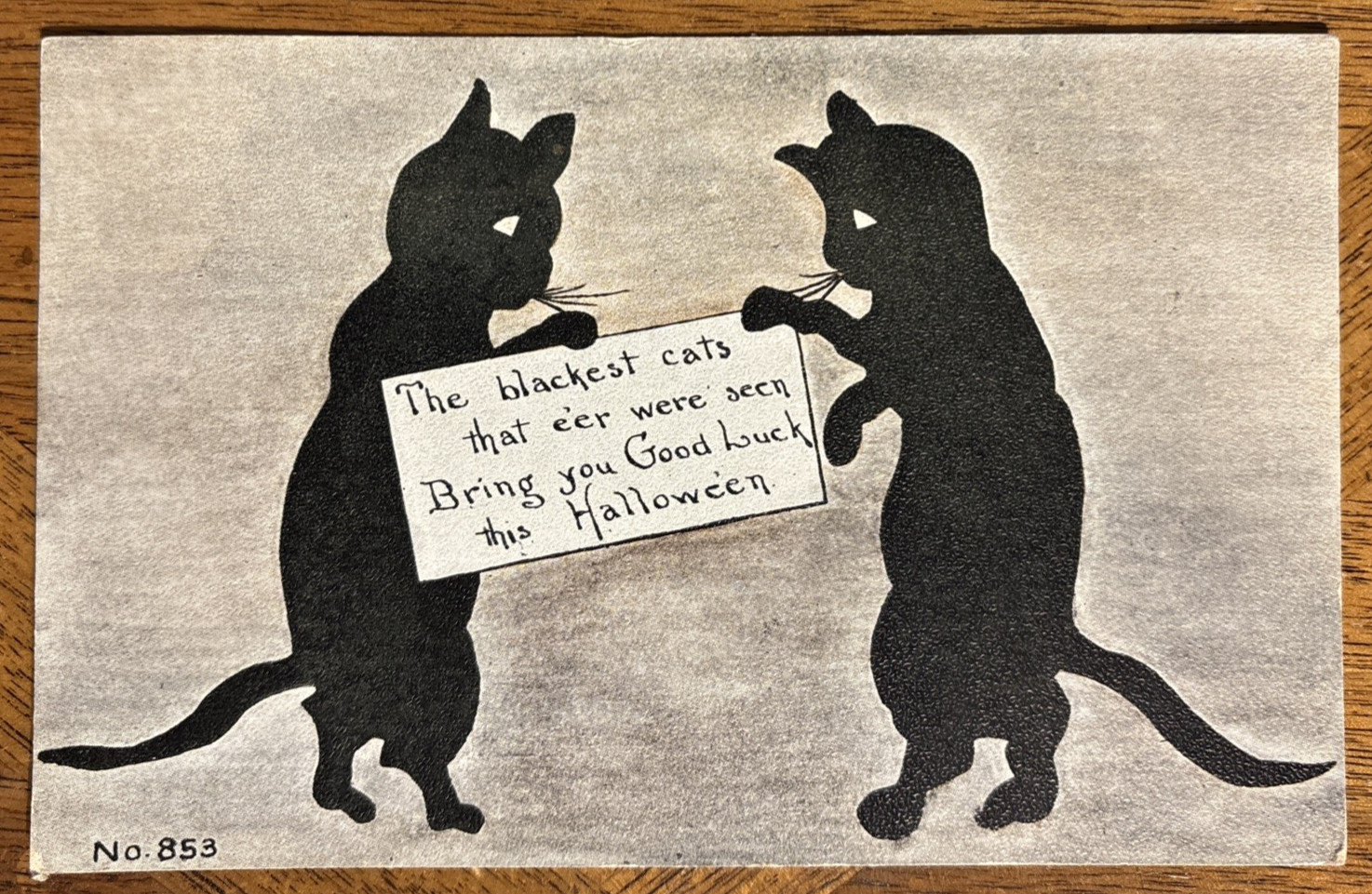 F. A. Owen Co. Vintage Halloween Postcard Black Cats Good Luck Dansville NY 853