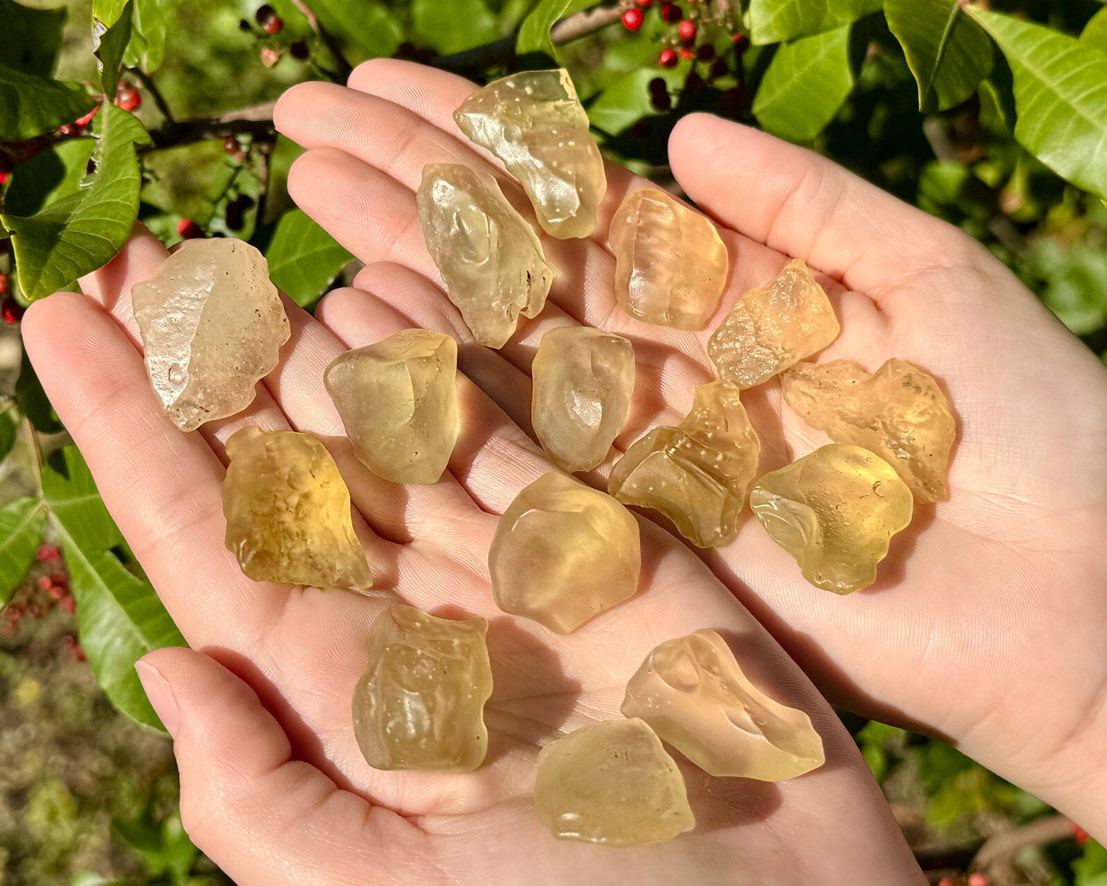 Libyan Desert Glass: Choose Size (100% Genuine Natural Libyan Gold Tektite)