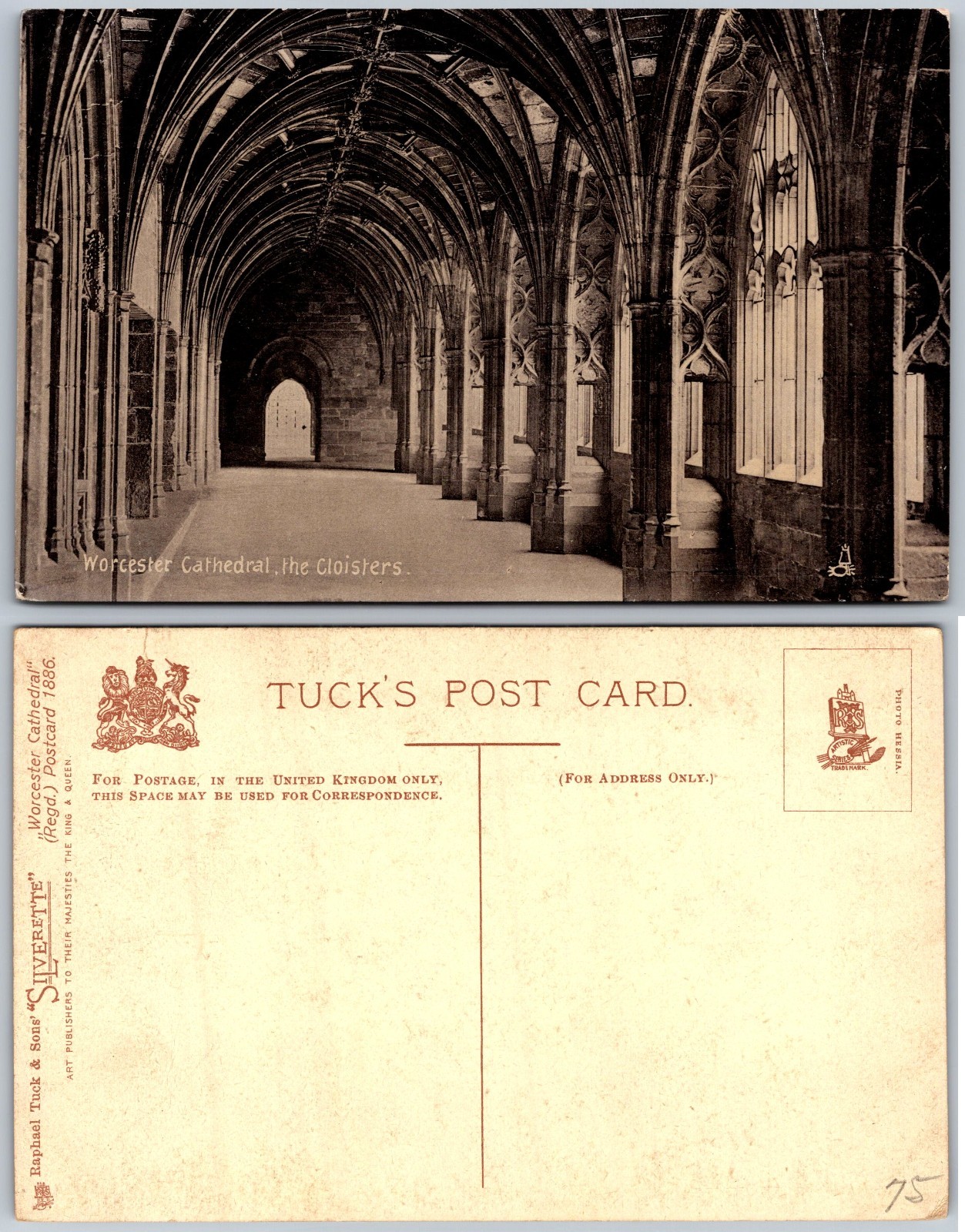 Worcester Cathedral Cloisters England Postcard