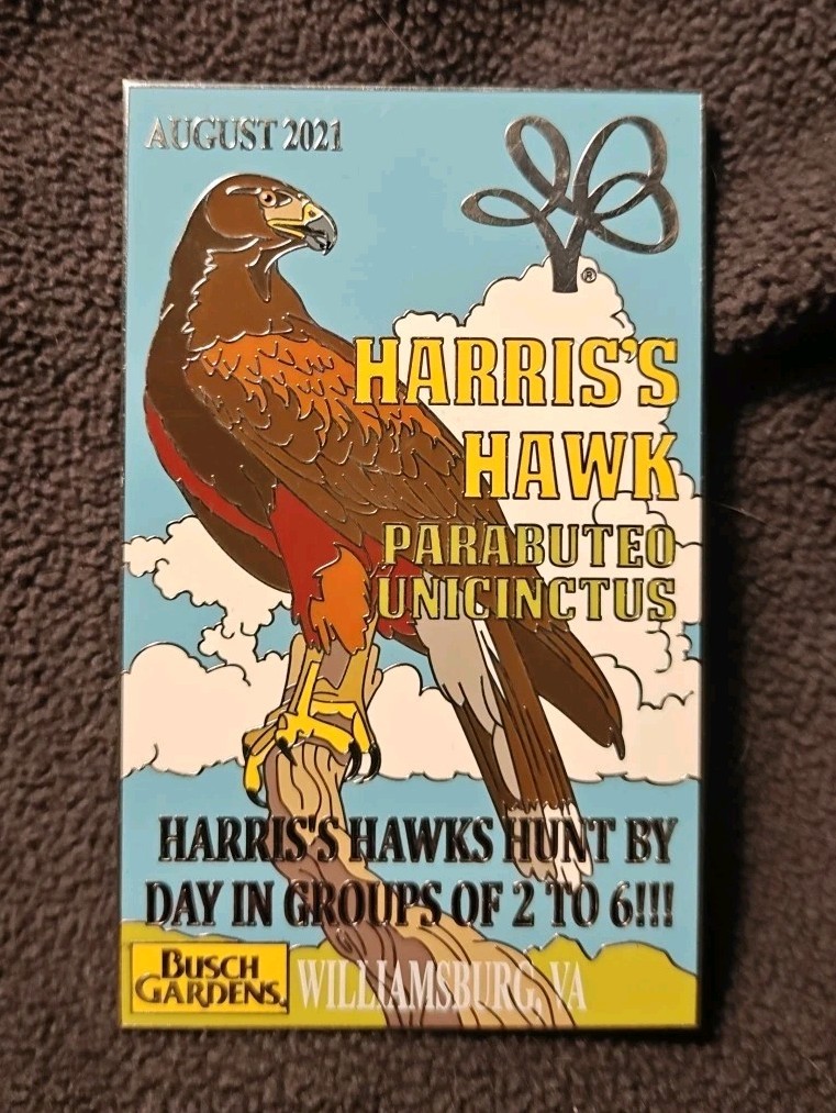 2021 August Busch Gardens Williamsburg Limited Edition of 300 Harris's Hawk Pin