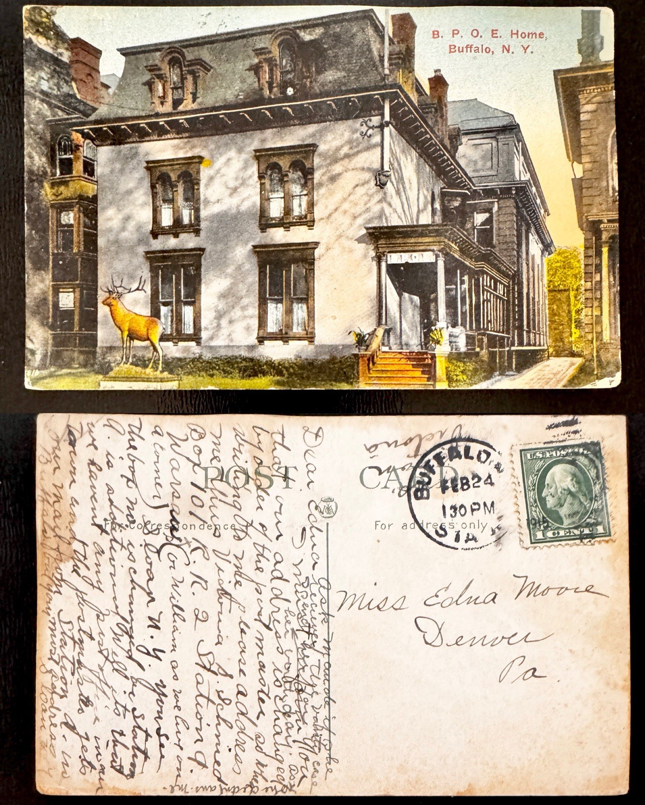 1914 B. P. O. E. Home Elks Lodge Building Buffalo New York B5