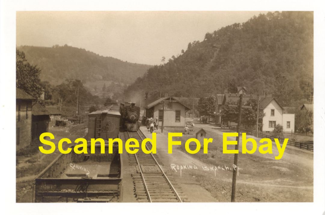 Roaring Branch PA  Lycoming Co. PRR NCRR Depot Photo Print Pennsylvania