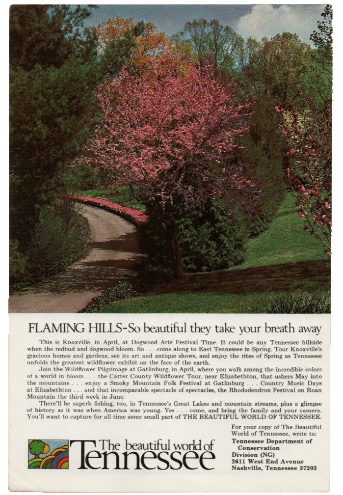 Vintage Tennessee Travel 1971 Print Ad Flaming Hills Knoxville Redbud Dogwood