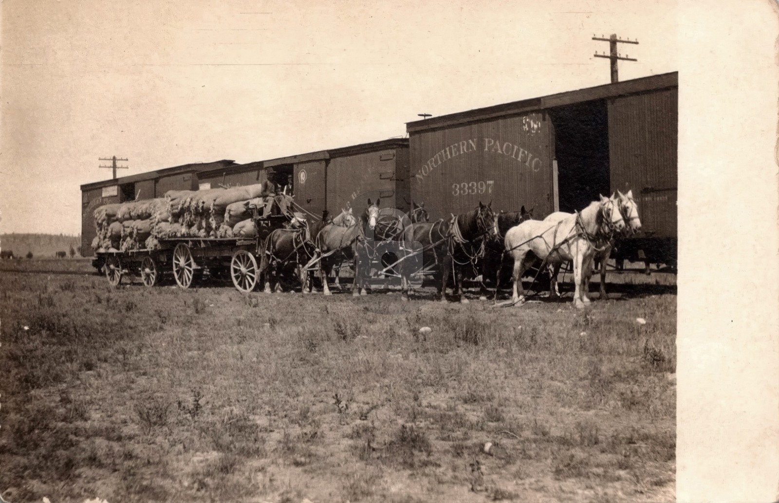 Park City Montana 1907 NP RR being loaded off wagon RPPC Photo Postcard COPY