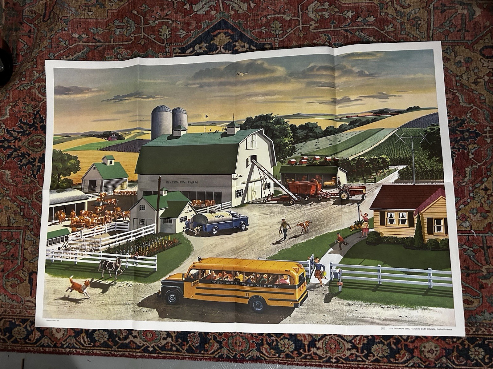 Vintage 1960 National Dairy Council Riverview Farm Teacher Aide 27x40 Poster