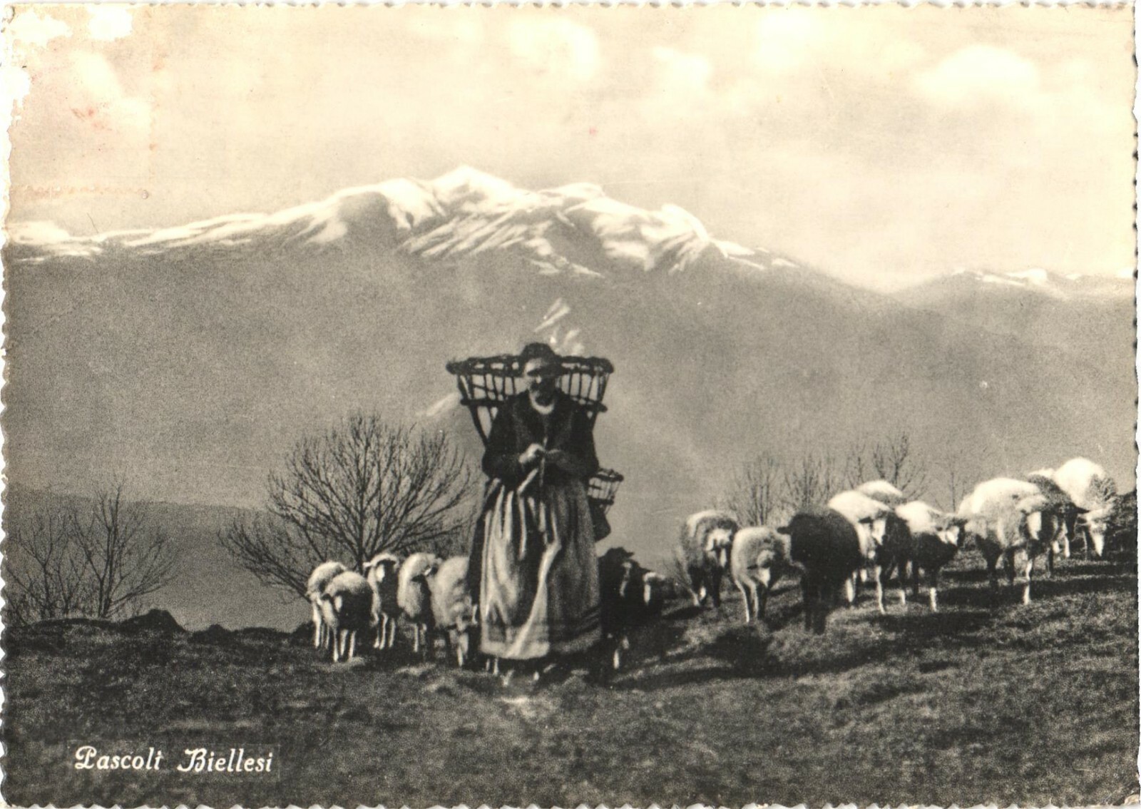 Biella Italy Shepherdess & Sheep Flock Pascoli Biellesi RPPC Real Photo
