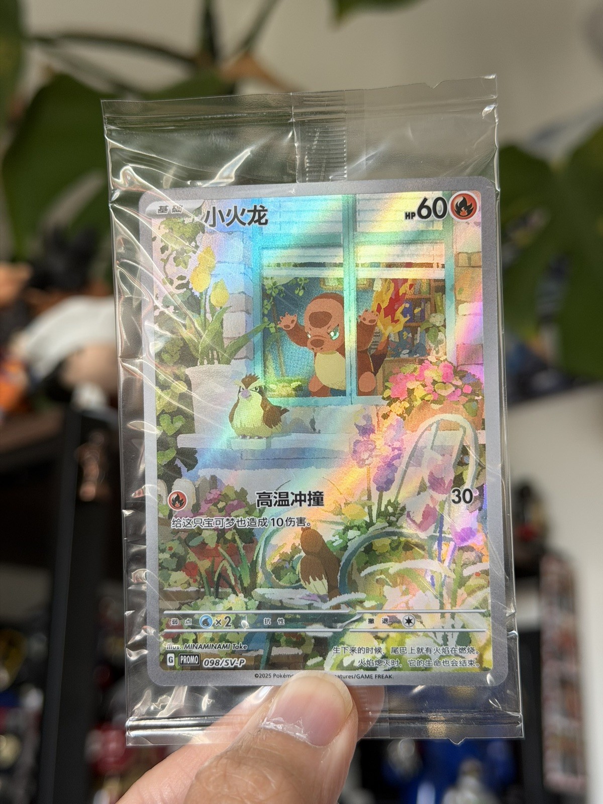 Charmander 098/Sv-p Promo 151c Chinese Pokemon Card Sealed