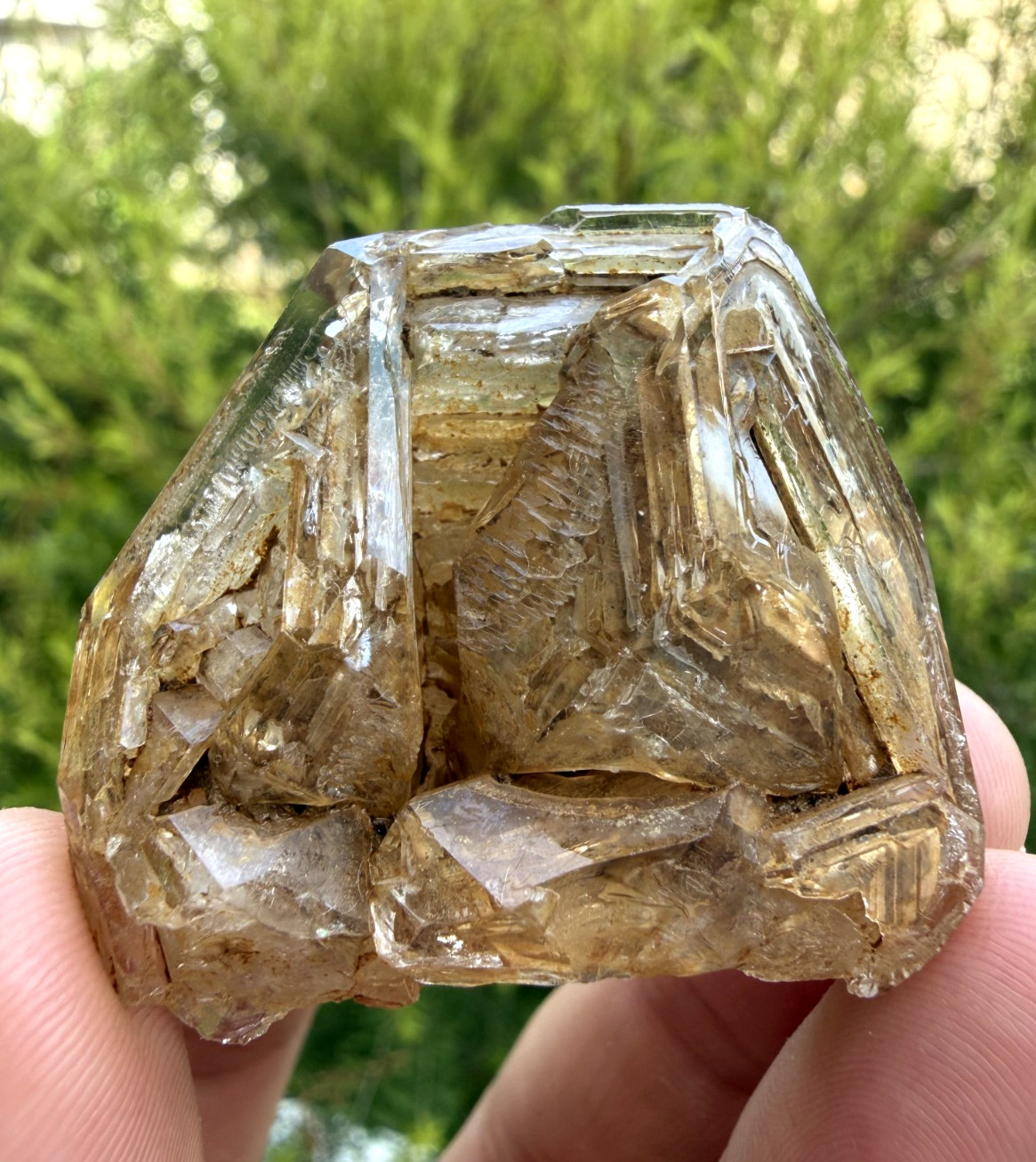 Window/Skeletal Quartz Crystal Having Perfect Clay Inclusions Pakistan.