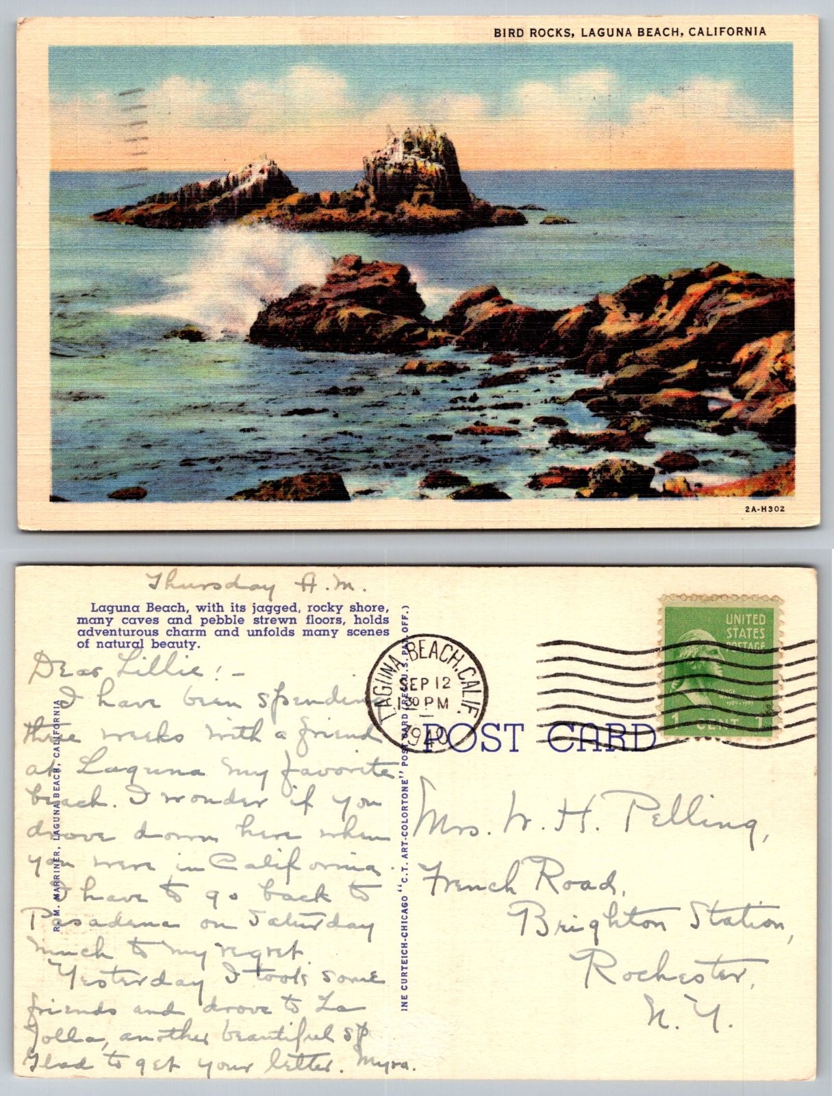 Bird Rocks Laguna Beach California Coastal Ocean Waves Curt Teich Postcard