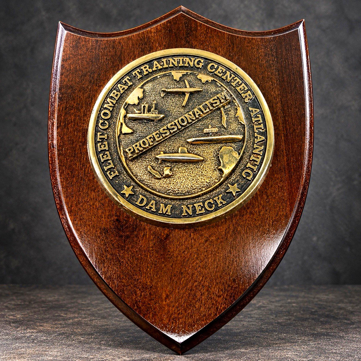 Rare Vintage FCTCLANT Dam Neck Navy Plaque R Pette Co Fleet Combat Training 9”