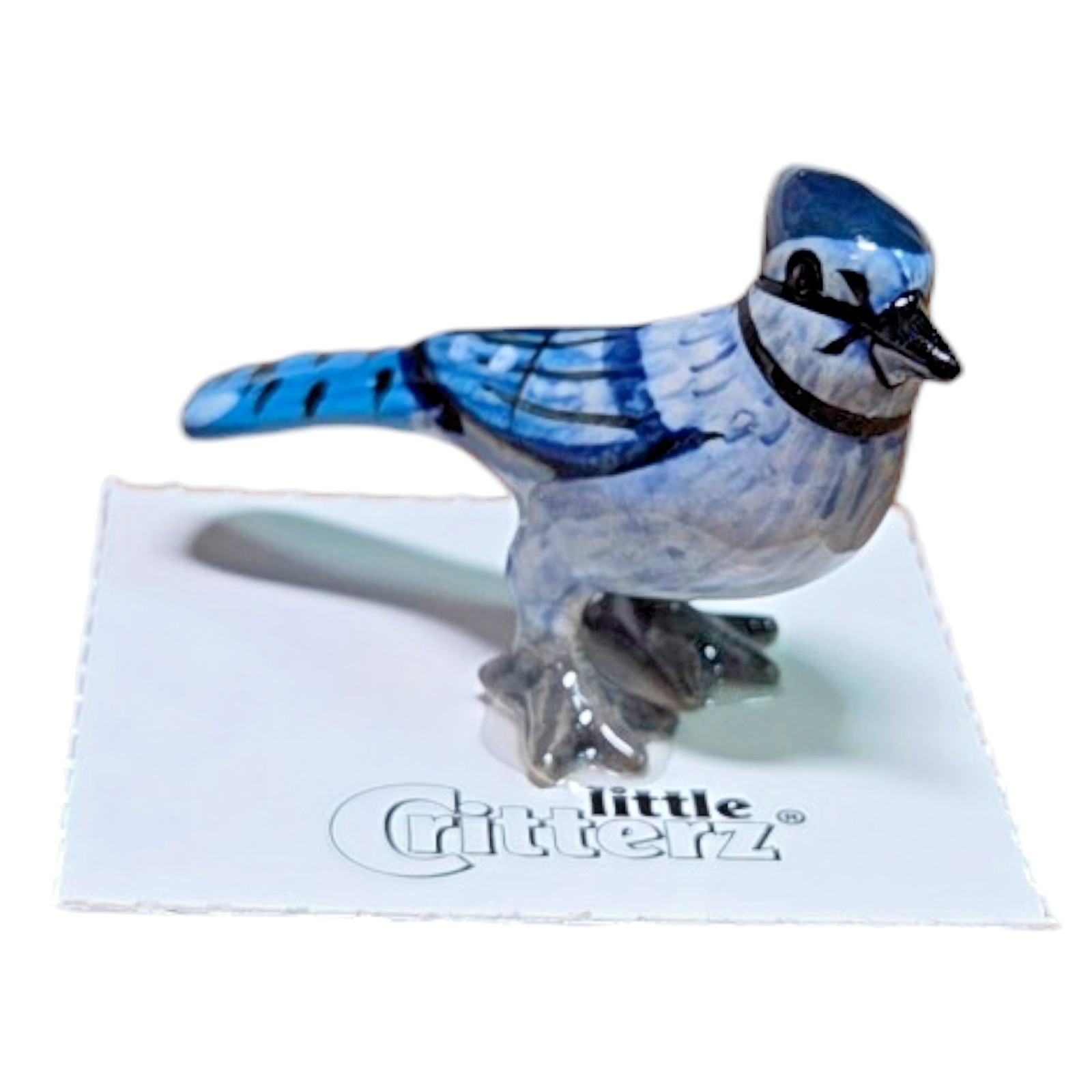 LITTLE CRITTERZ Bird Blue Jay 