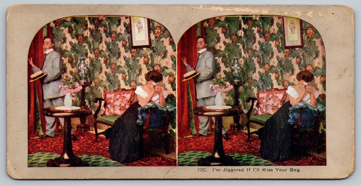 I'm Jiggered If I'll Kiss Your Dog Stereoview 72C Color Comic Scene