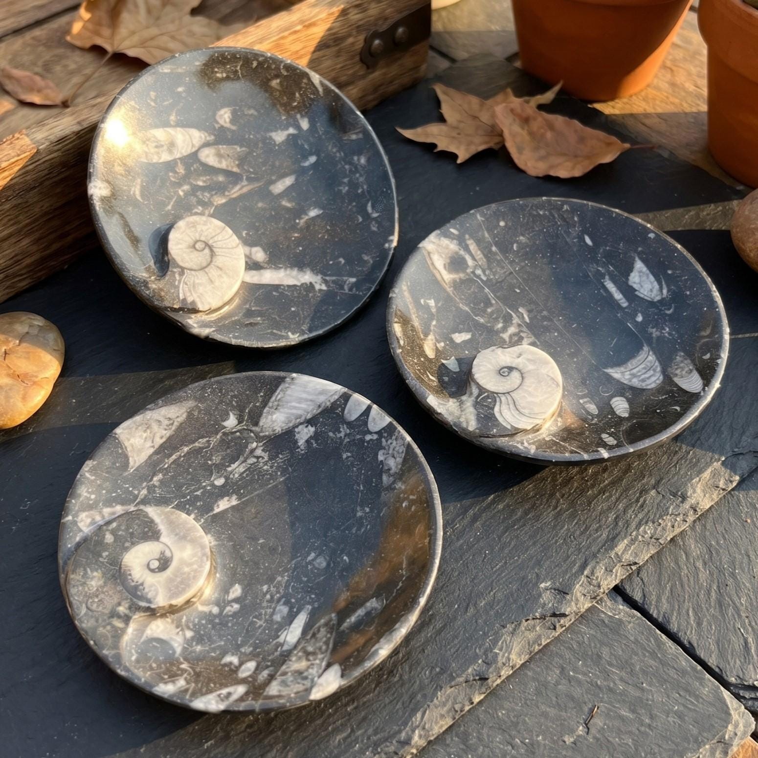 Orthoceras And Ammonite Fossil Stone Bowl Dish Carving (4.5 Inches)
