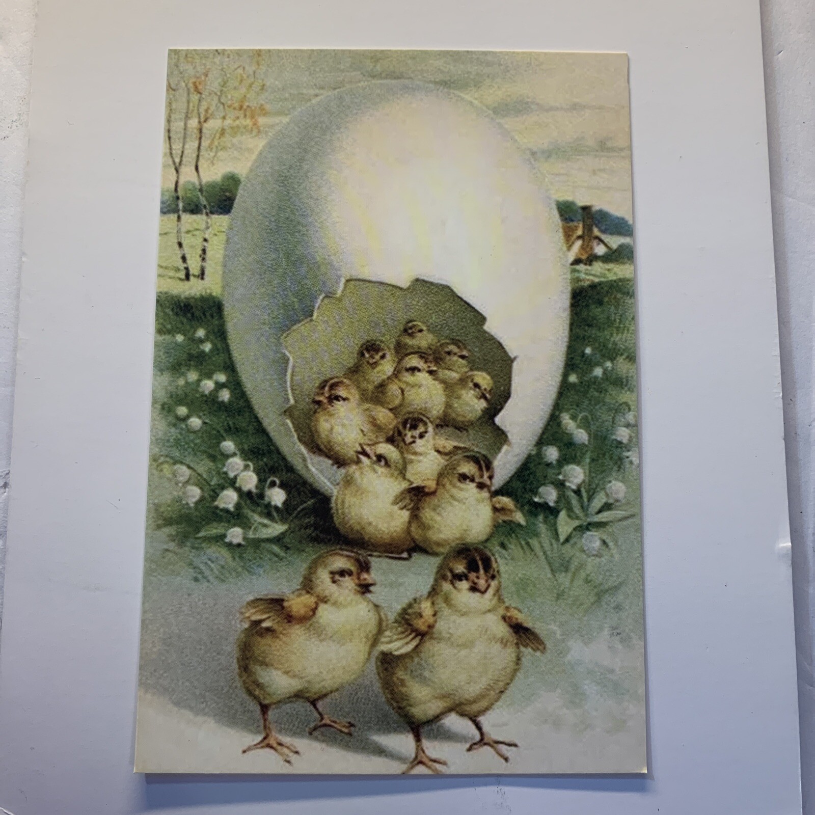 Easter Unused Postcard Greeting Card Vintage Style 4 X 6