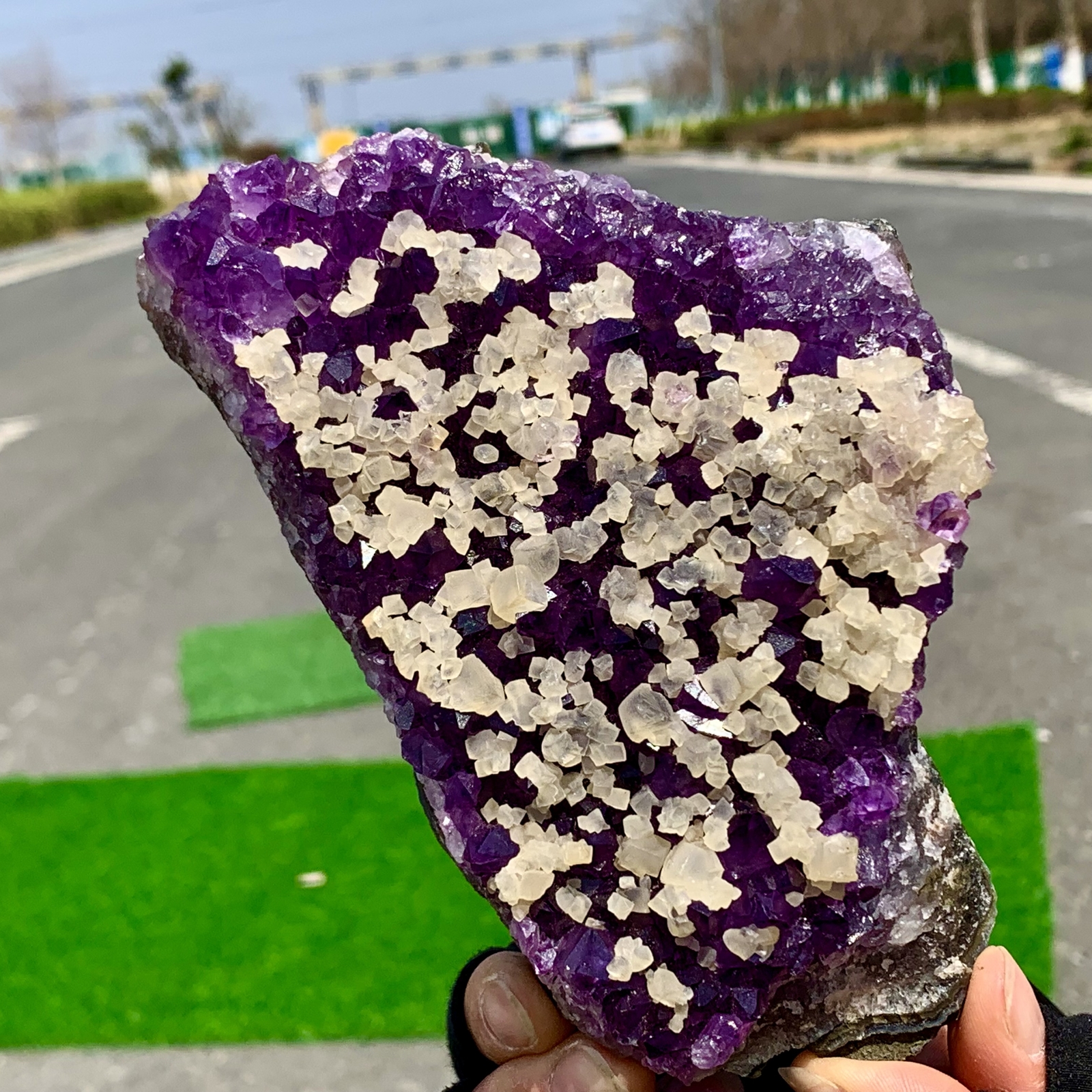 1.35LB Natural Amethyst Calcite skeletal Mineral Specimens