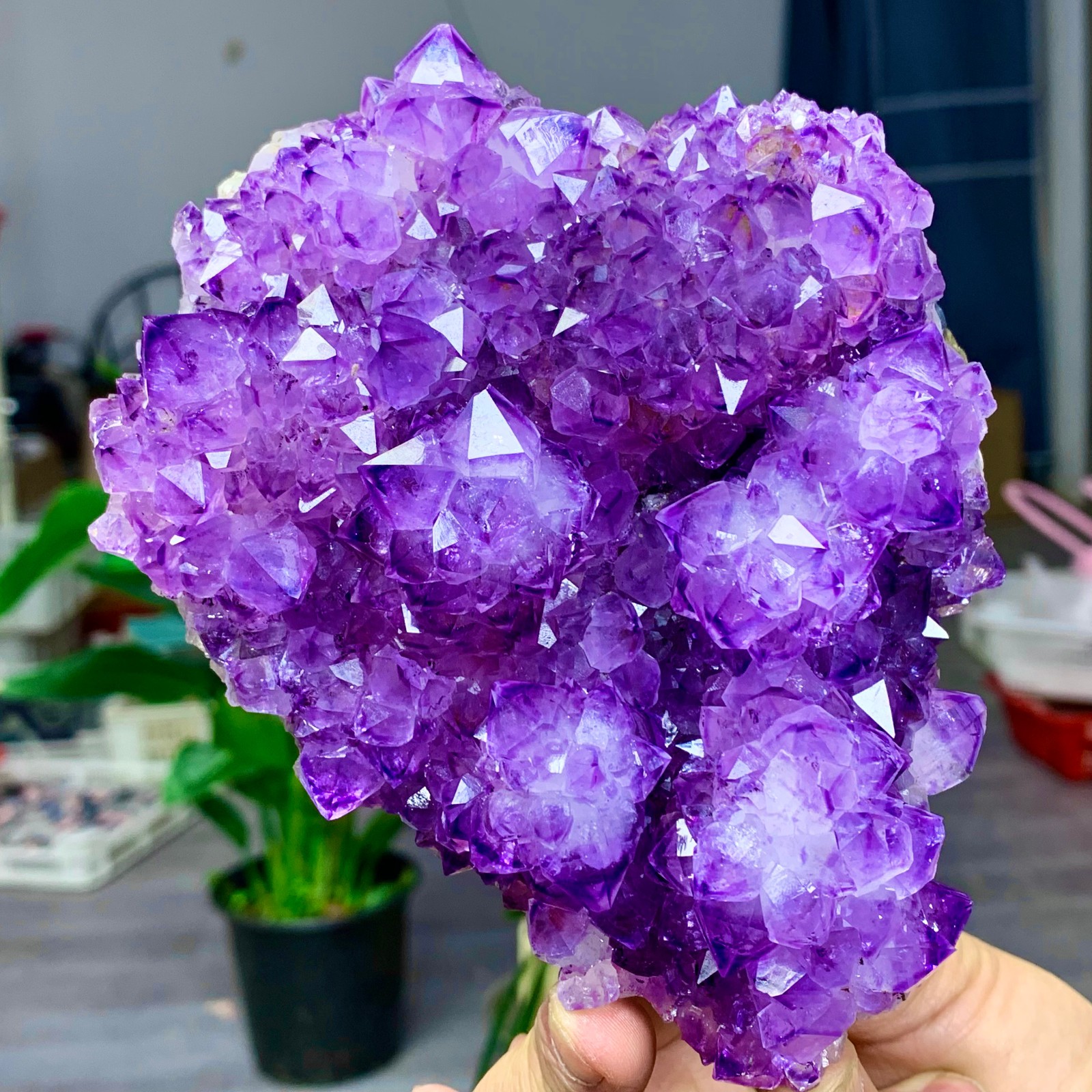 1.72LB  Natural Amethyst flower quartz cluster crystal specimen Healing
