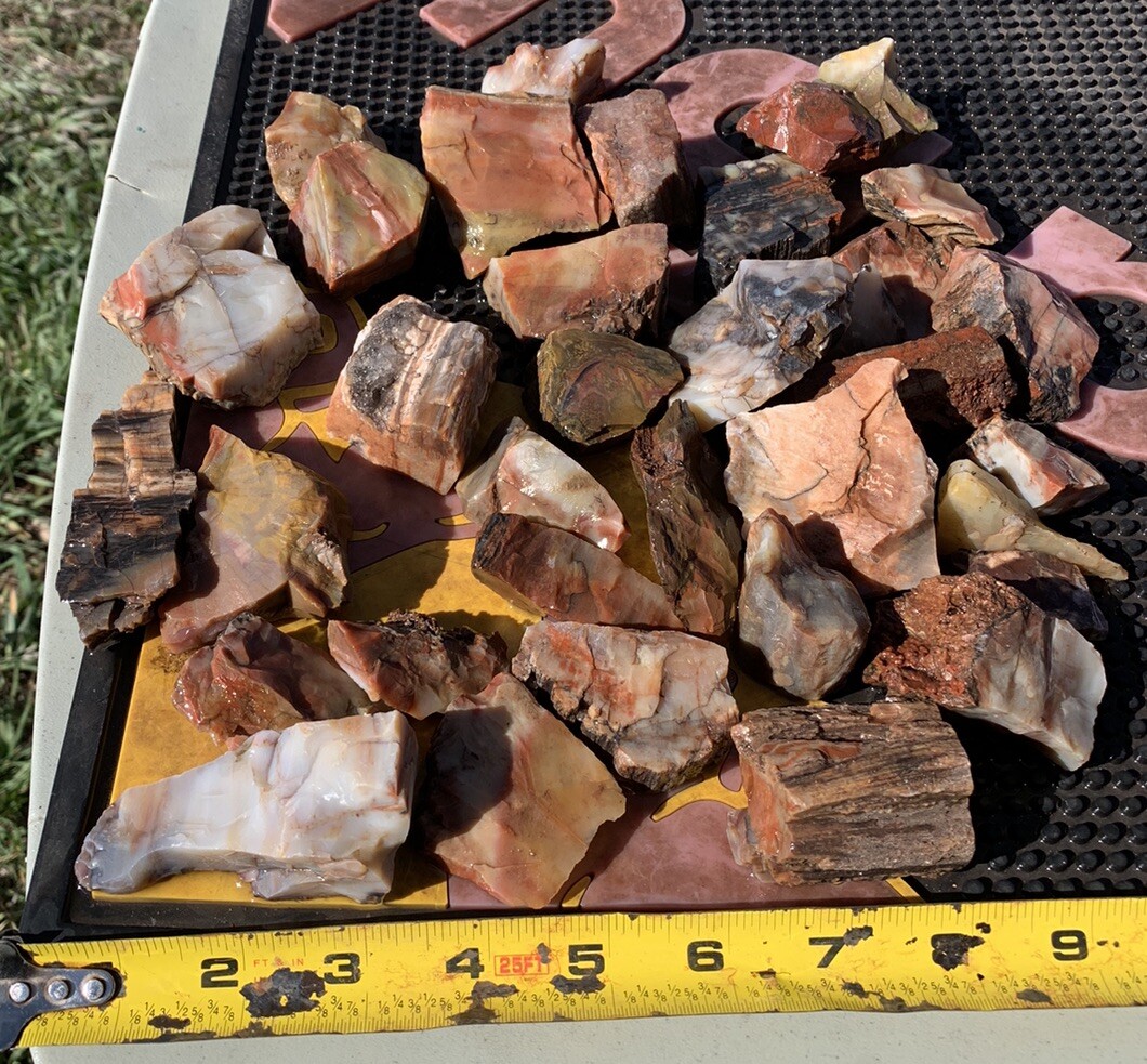 ☘️RR⛏️: Top Quality Arizona Rainbow Petrified Wood, Over 4 Lb 🌈
