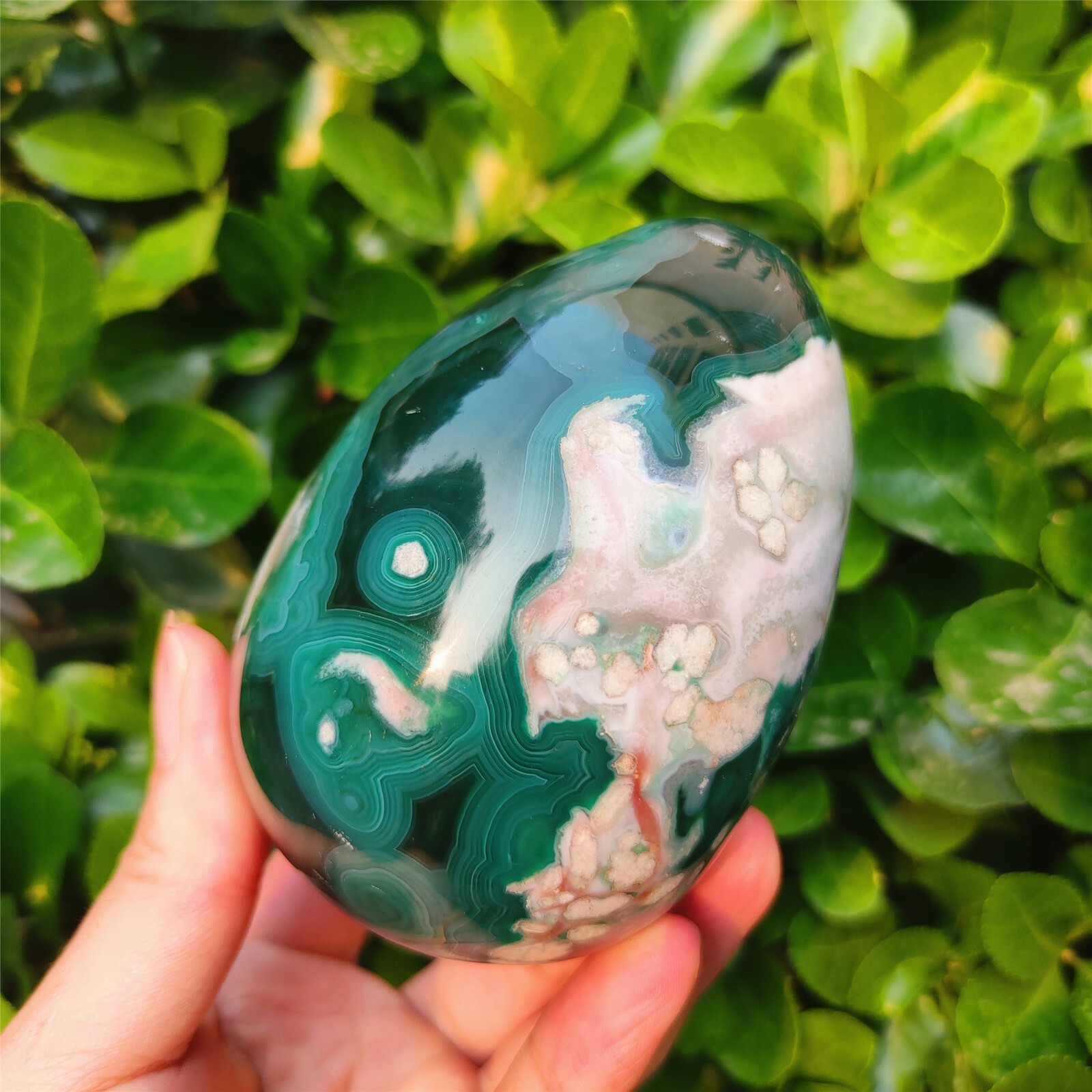 695G Beautiful  Natural Ocean Jasper Agate Crystal egg Madagascar