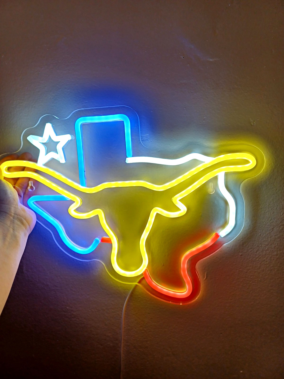 Texas Longhorn Multicolor Neon Sign LED Wall Light Plastic