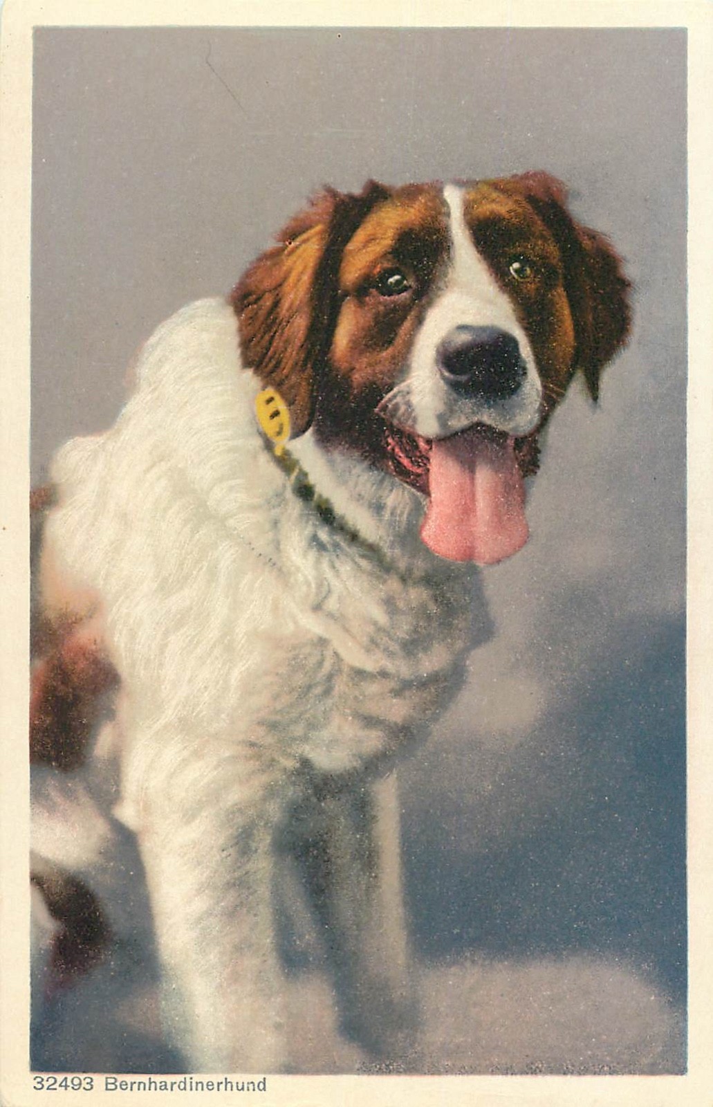 ST BERNAR4D DOGS, LOT OF 6 VINTAGE POSTCARDS (RR364)